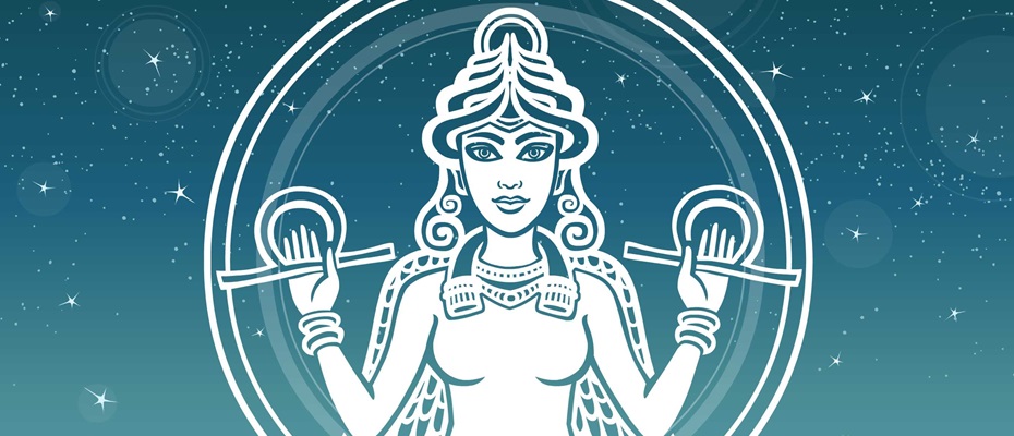 verband erotikbetriebe